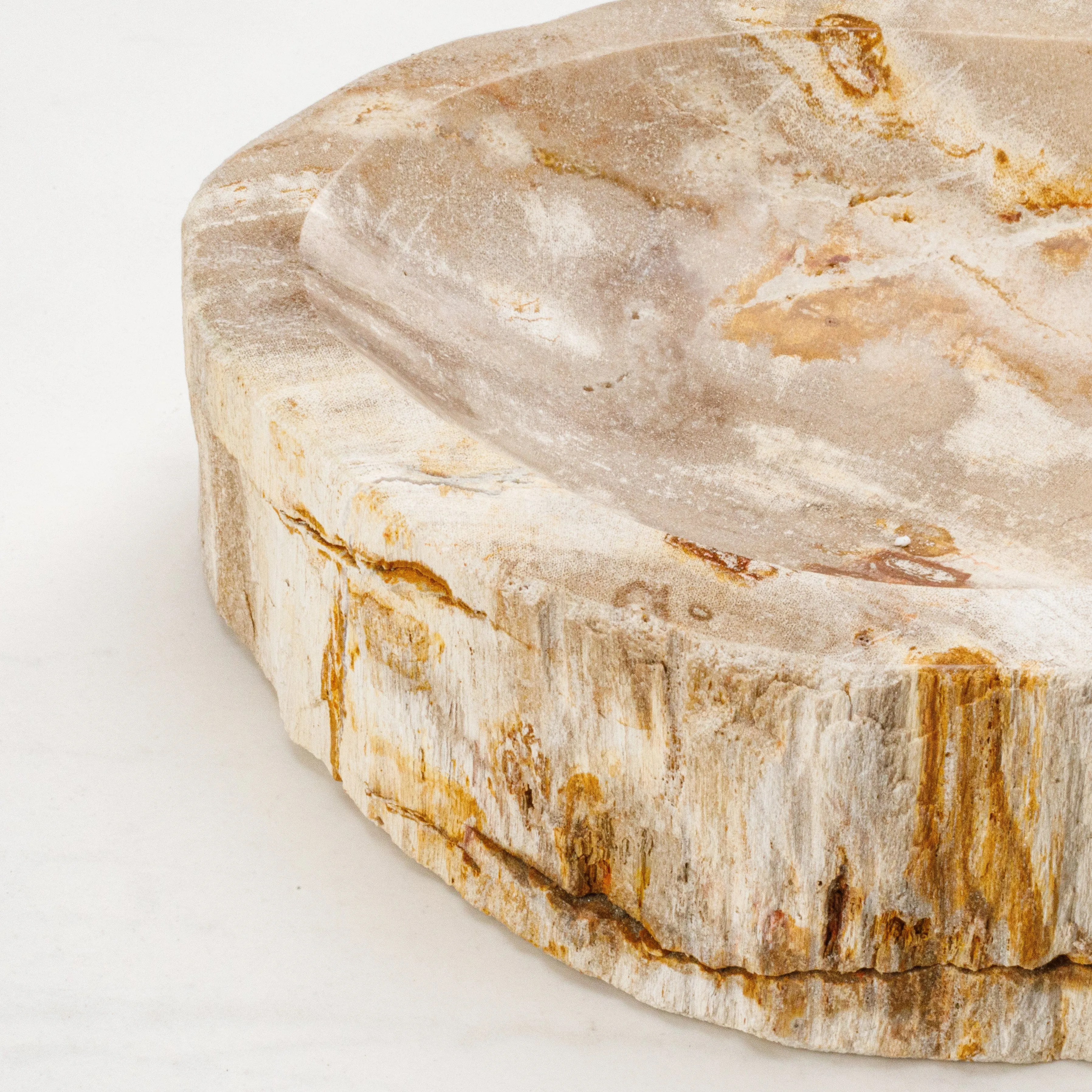 7 Brown Petrified Wood Ashtray