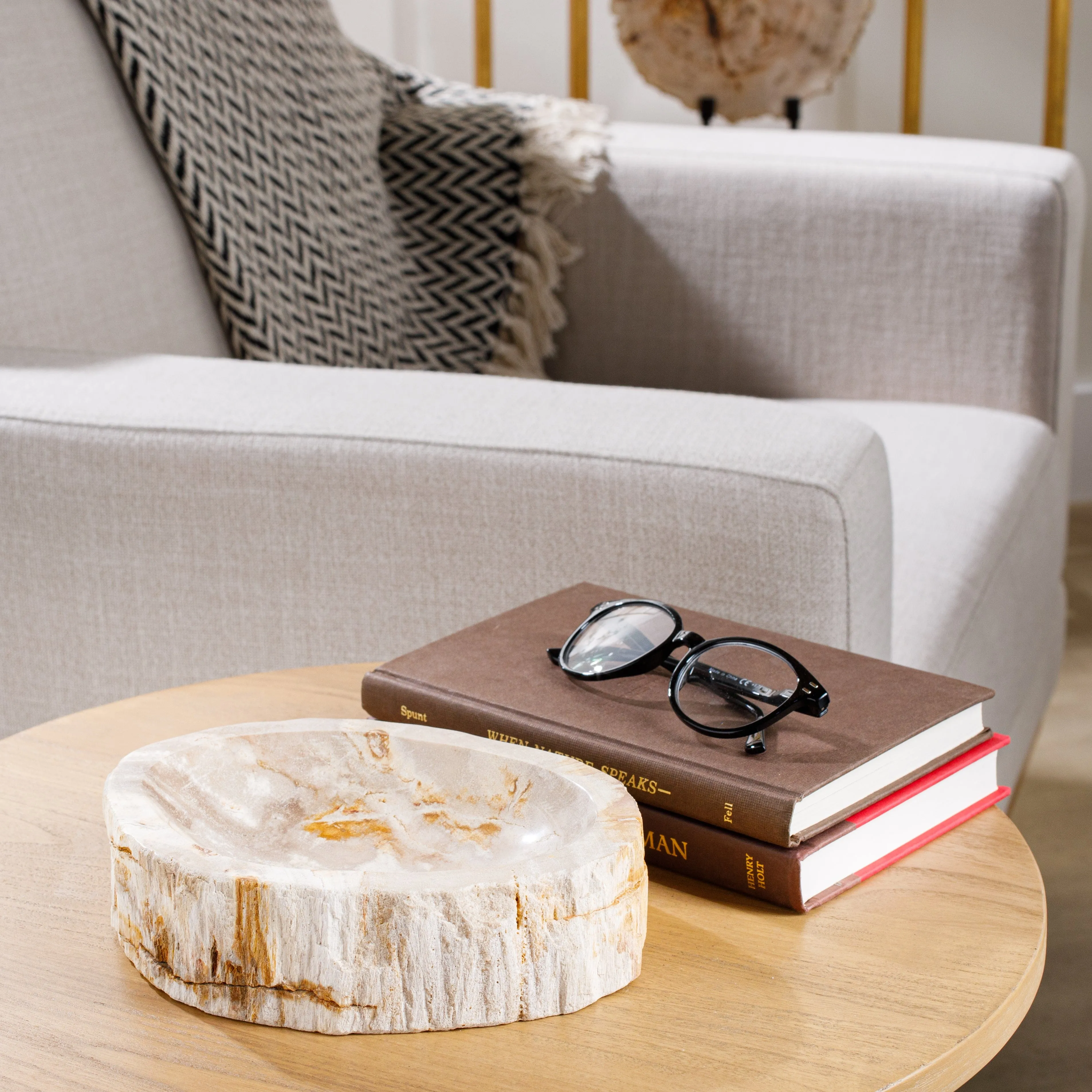 7 Brown Petrified Wood Ashtray