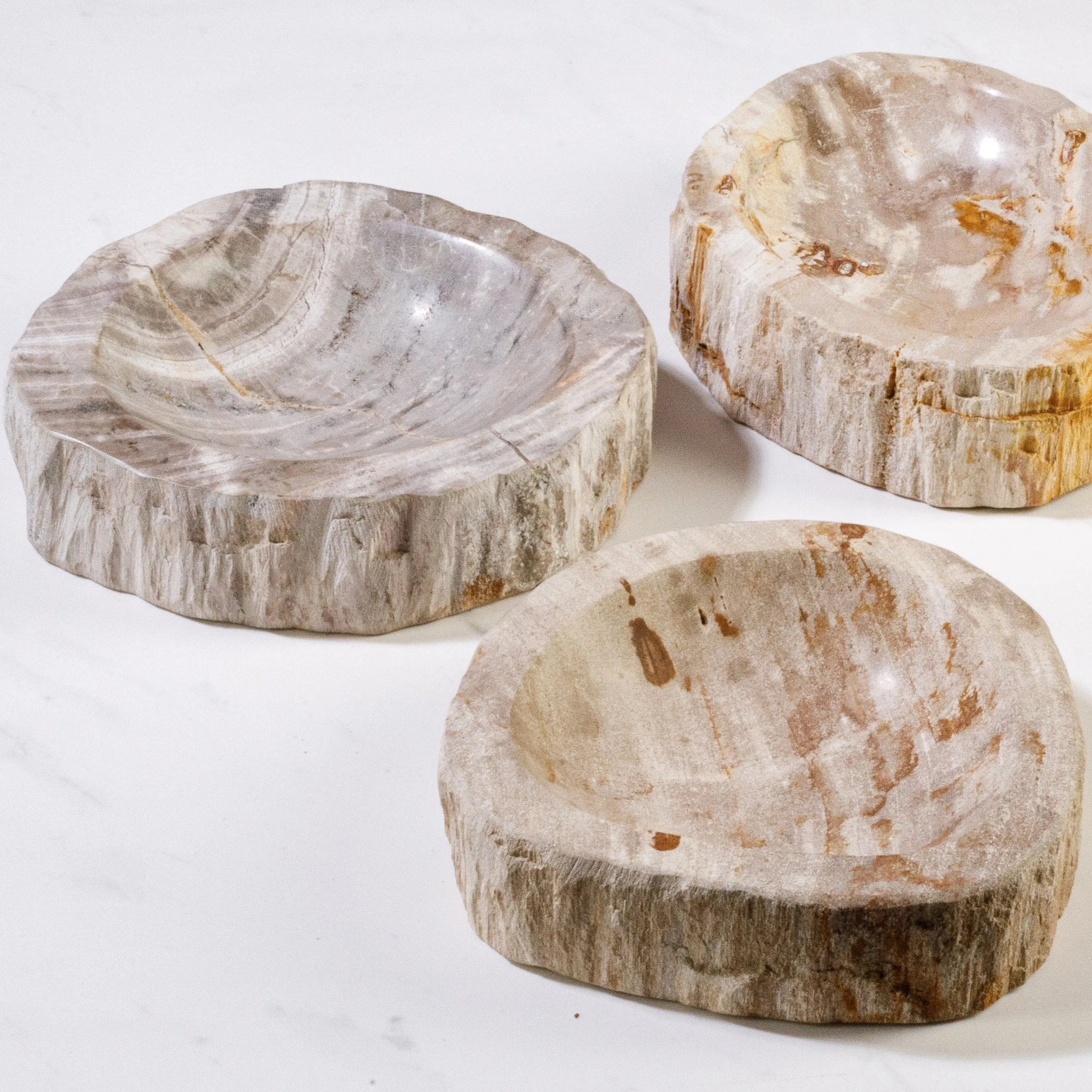 7 Brown Petrified Wood Ashtray